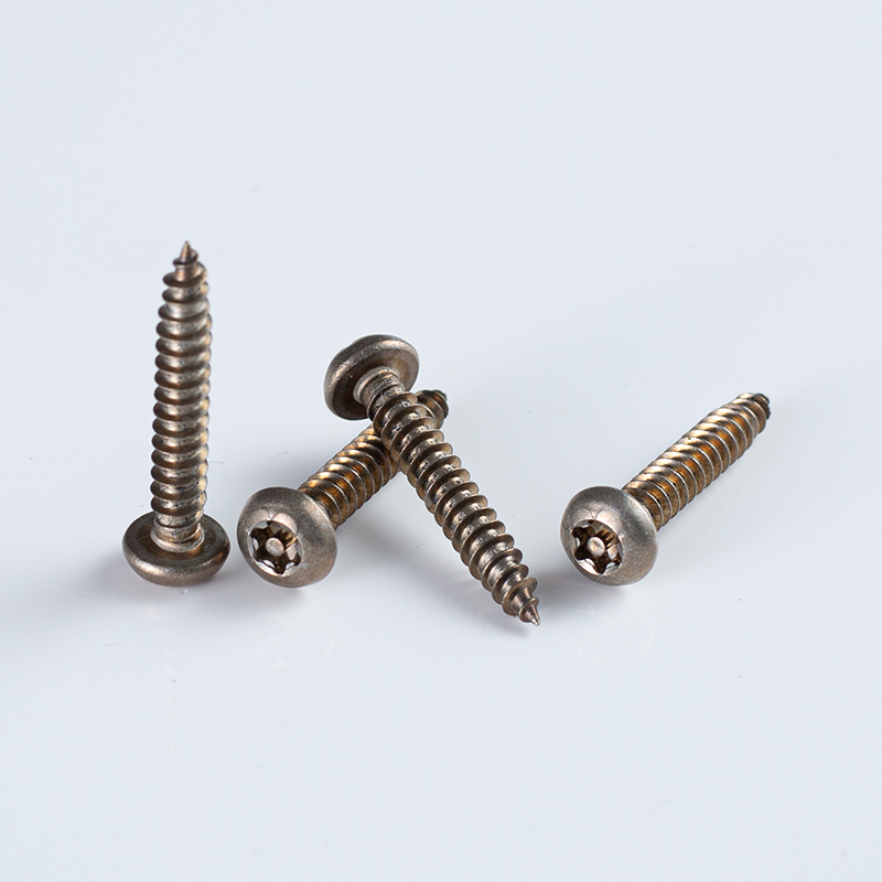 Bronzebeschichteter Pfannenkopf, manipulationssichere Torx-Selbstschneidende Schraube