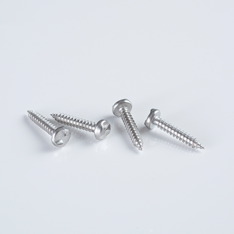 10-16×25-35 A2 SS304 Sicherheitsantrieb S-Typ Rundkopfschraube